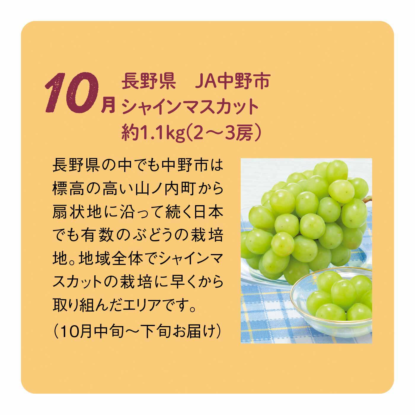 受注生産品 国産グリーンレモン 1.1kg