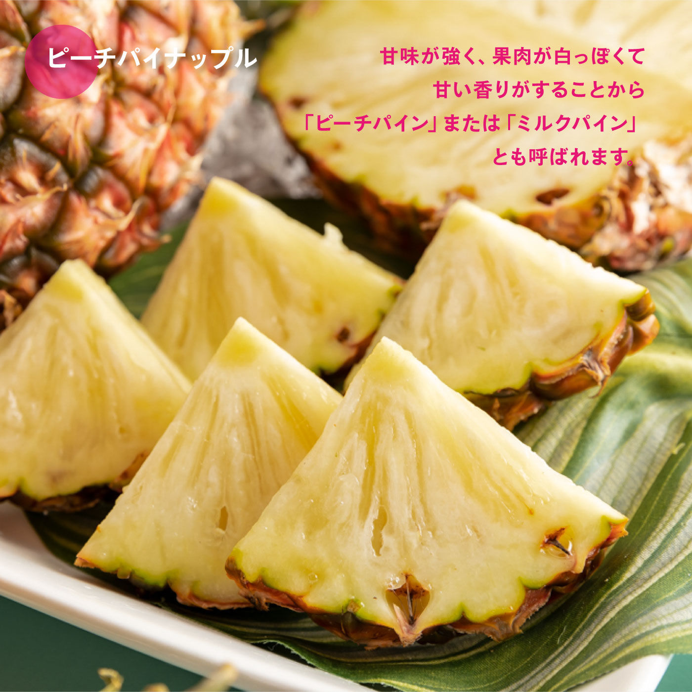 FP産地直送マルシェ|【予約限定・締切5月29日】 沖縄から食べごろでお届け！ スナックパイナップル＆ピーチパイナップルセット
