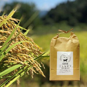 FP産地直送マルシェ | 京都丹波コシヒカリ令和５年産　特別栽培米５ＫＧ
