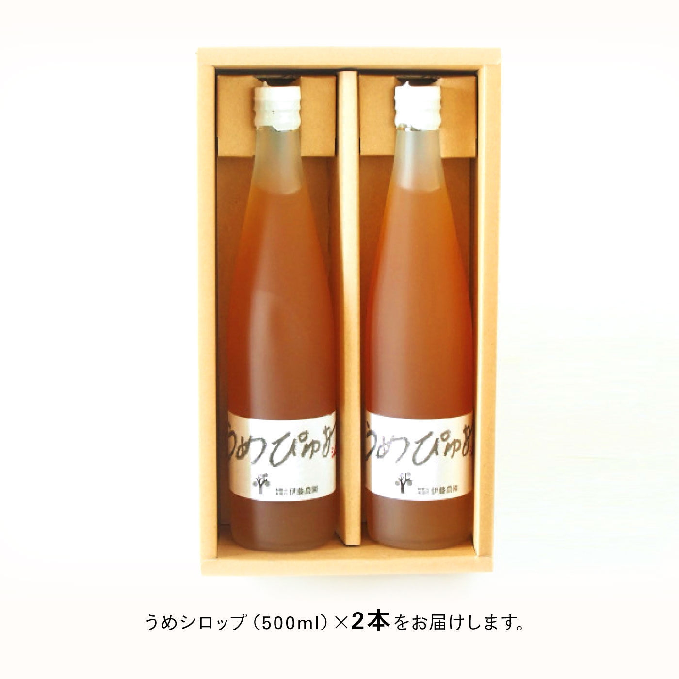 FP産地直送マルシェ|南高梅をじっくり熟成させた「うめピュアシロップ」2本