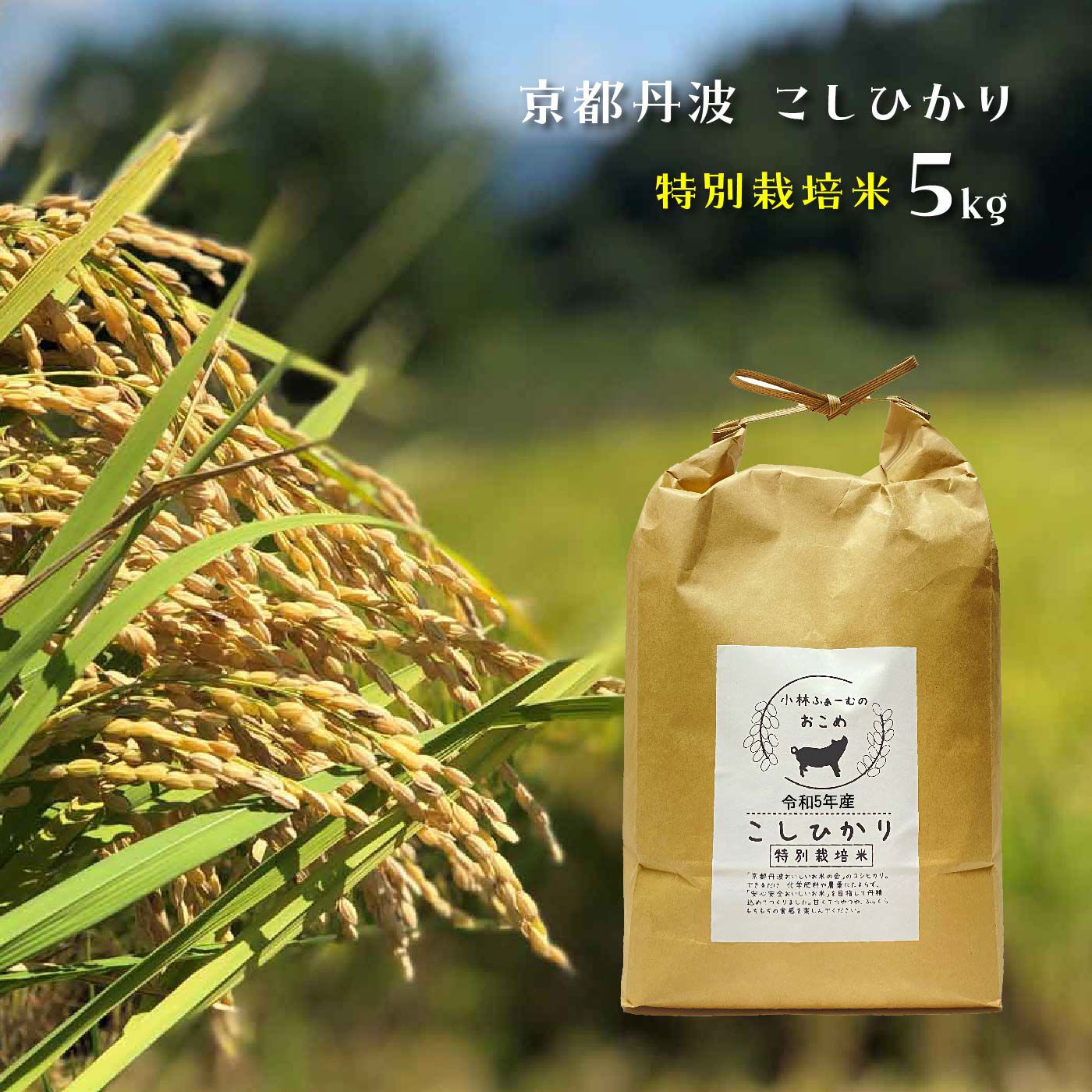 新米入荷☆京都丹波コシヒカリ令和5年度産 特別栽培米５ＫＧ｜ごはん