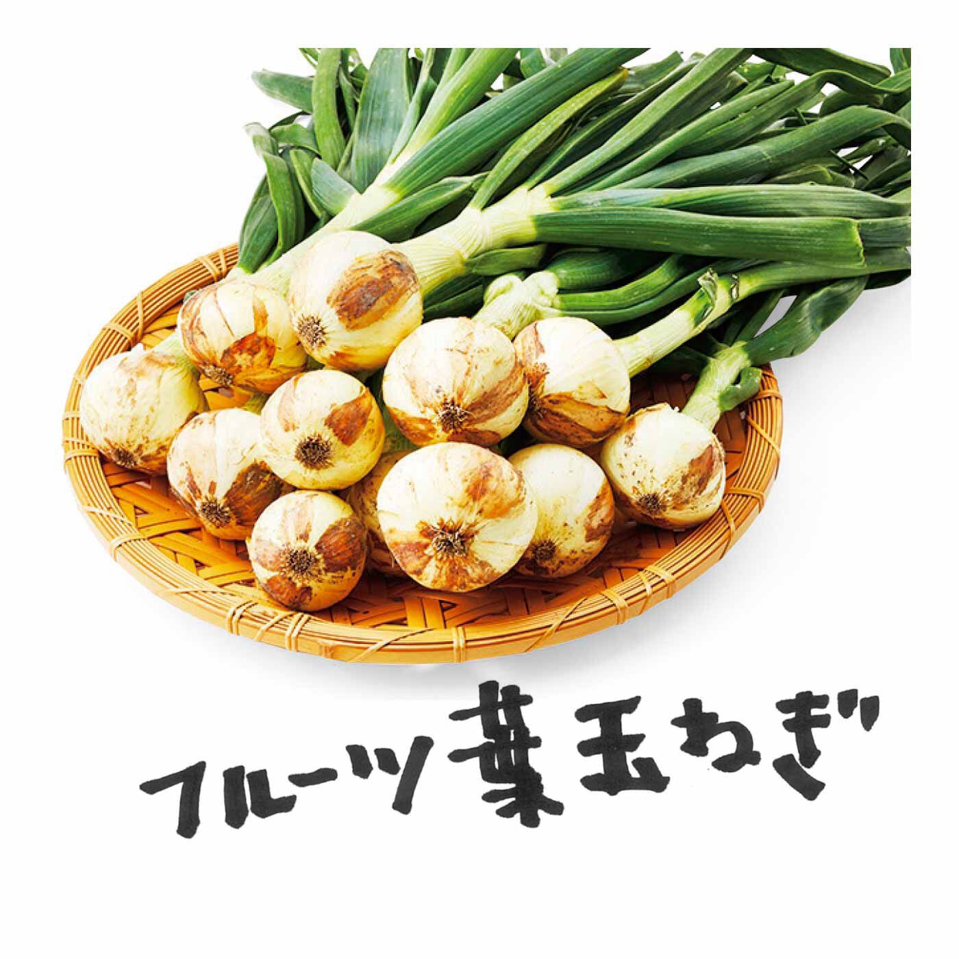 FP産地直送マルシェ|【予約限定・締切6月8日】365日玉ねぎ生活！ 甘くてジューシーな淡路島フルーツ玉ねぎ（R）を存分に楽しむセット（12ヵ月コース）|冬だけの特別な玉ねぎ。寒さの中でじっくり育ち、玉から葉までまるごと甘くおいしいのが特徴です。