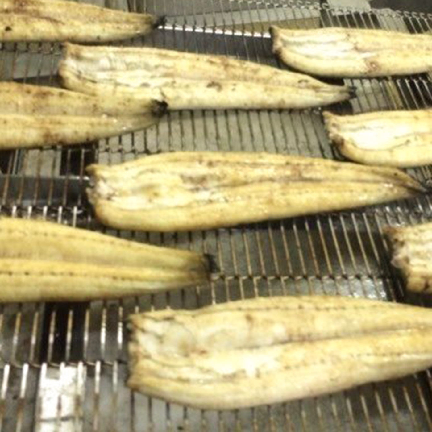 FP産地直送マルシェ|鹿児島県産「おおさきうなぎ長蒲焼〈特上サイズ〉」2尾セット