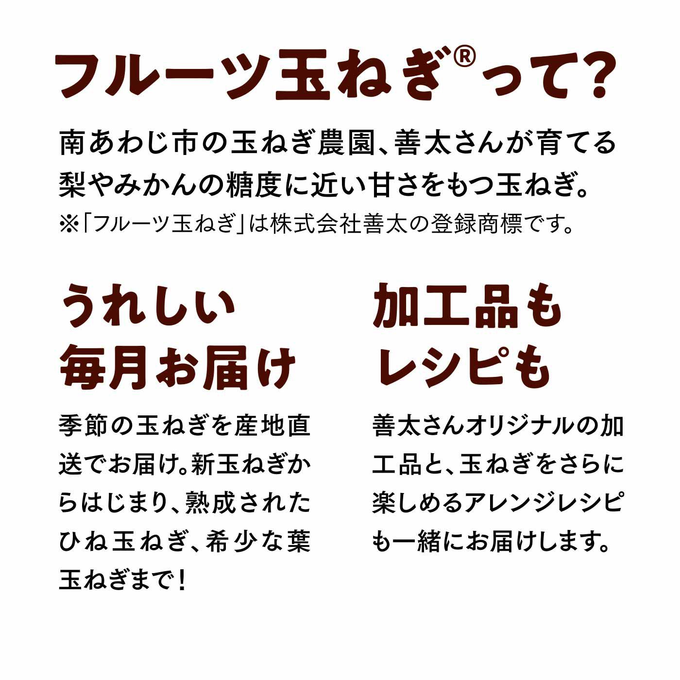 FP産地直送マルシェ|【予約限定・締切6月8日】365日玉ねぎ生活！ 甘くてジューシーな淡路島フルーツ玉ねぎ（R）を存分に楽しむセット（12ヵ月コース）