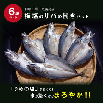 FP産地直送マルシェ | 魚義特製の梅塩サバ開き６尾セット