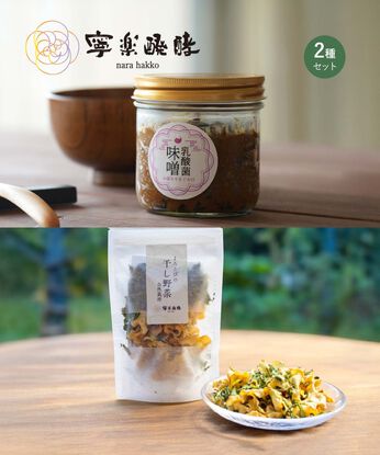 FP産地直送マルシェ | 乳酸菌味噌干し野菜セット