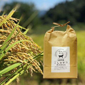FP産地直送マルシェ | 京都丹波コシヒカリ令和５年産特別栽培米１０ＫＧ