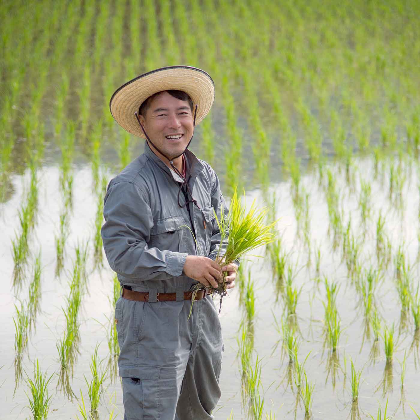FP産地直送マルシェ|新米入荷☆京都丹波コシヒカリ令和5年度産特別栽培米１０ＫＧ
