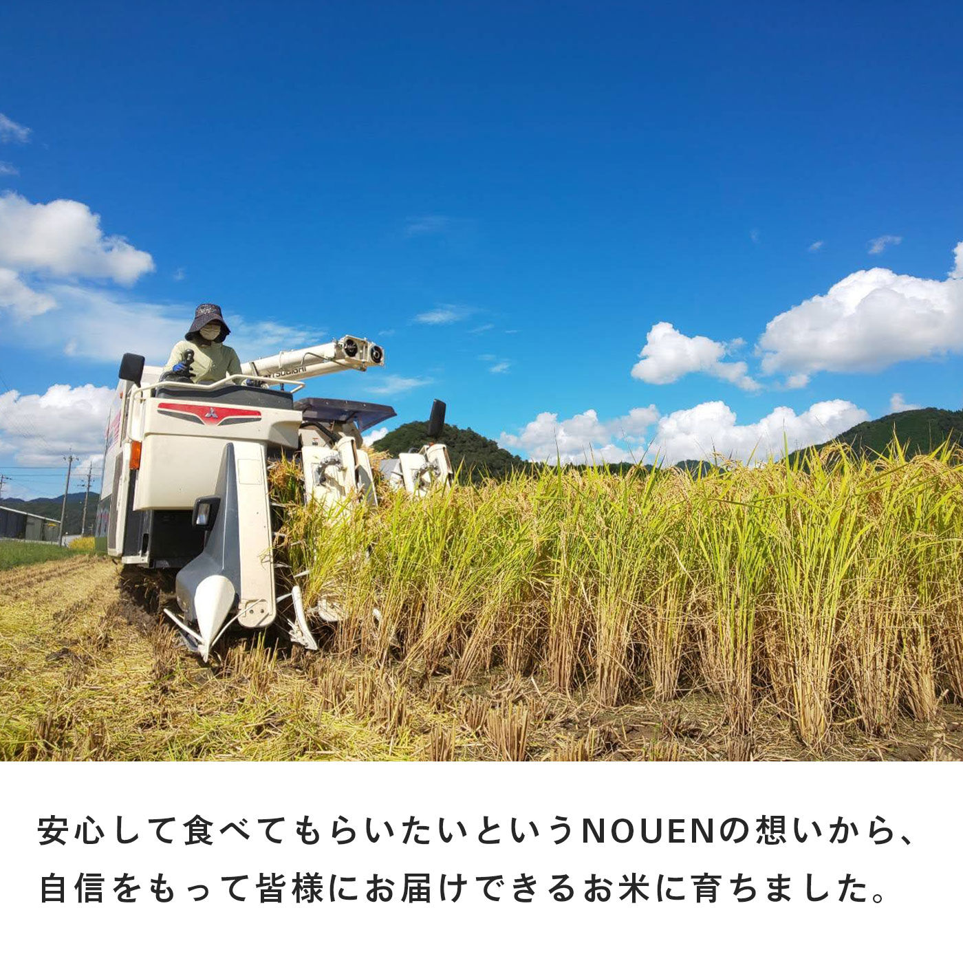 FP産地直送マルシェ|【新米・令和6年】特別栽培米　兵庫県産　むすびの匠米5kg