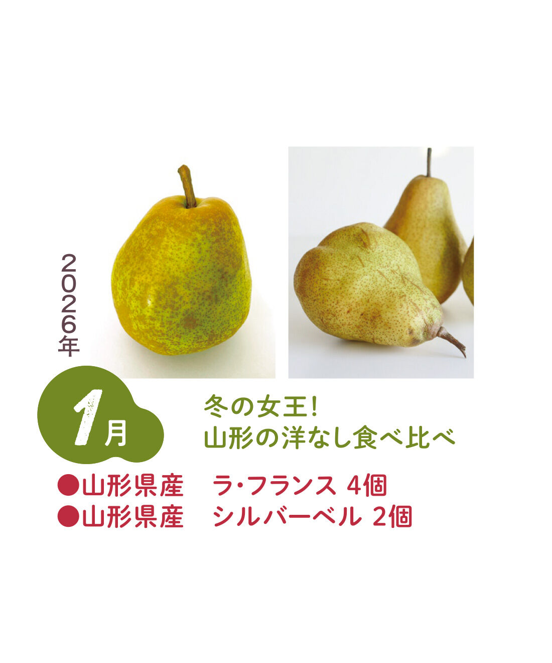 FP産地直送マルシェ|【予約限定・締切8月3日】ベストコンビをたっぷり食べ比べ！ 2種類の旬フルーツ12ヵ月コース|ラ・フランスは果汁が多めでさわやかな味わい。シルバーベルは、ごろっと大きく甘く芳醇でクリーミーな味わいです。（2026年1月上旬〜中旬）