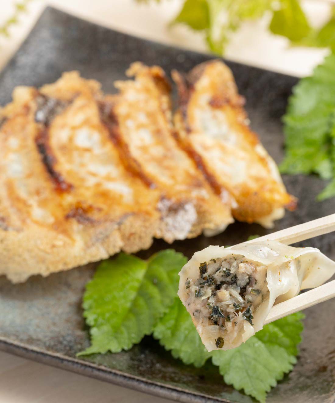 FP産地直送マルシェ|【予約限定・締切7月10日】おいでやす！ 京都餃子ミヤコパンダ３ヵ月コース