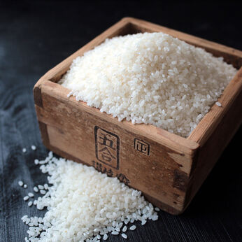 FP産地直送マルシェ | 特別栽培米　兵庫県産むすびの匠米２ＫＧ×２袋
