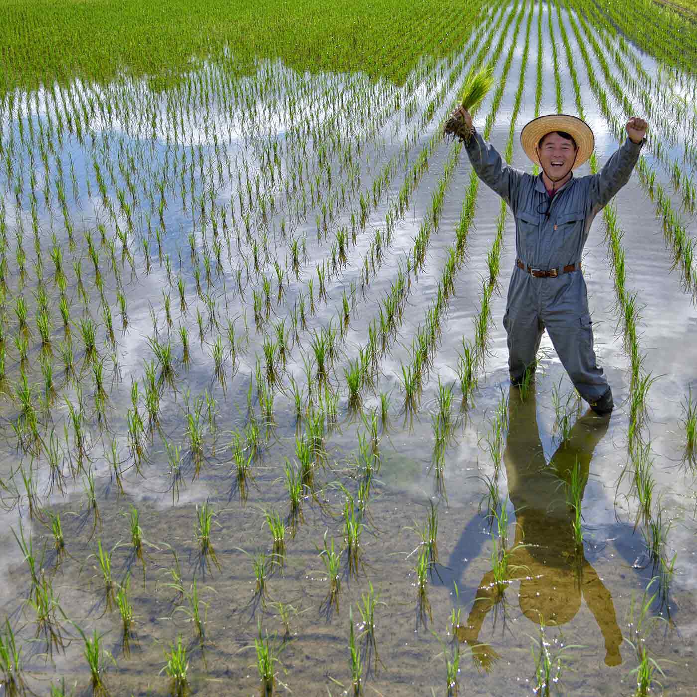 FP産地直送マルシェ|新米入荷☆京都丹波コシヒカリ令和5年度産　特別栽培米５ＫＧ