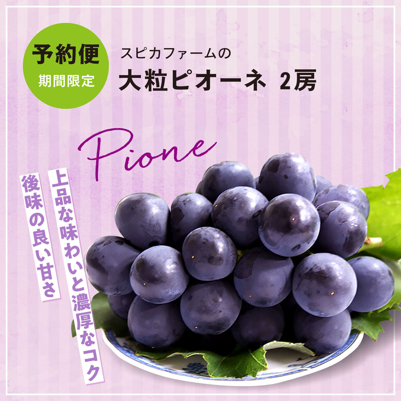 FP産地直送マルシェ|【予約限定・締切6月19日】岡山県産 スピカファームの大粒ピオーネ２房