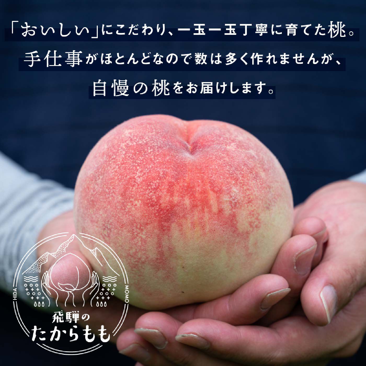 FP産地直送マルシェ|【予約限定・締切6月26日】つむぎ果樹園　飛騨のたからもも食べ比べ3ヵ月コース　
