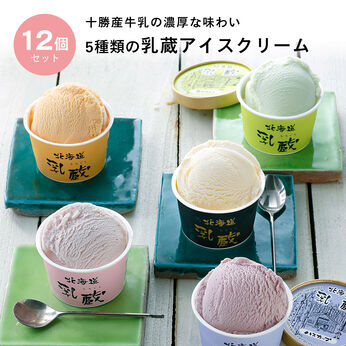 FP産地直送マルシェ | 北海道乳蔵 アイスクリーム（プレミアムバニラ入り） 12個セット