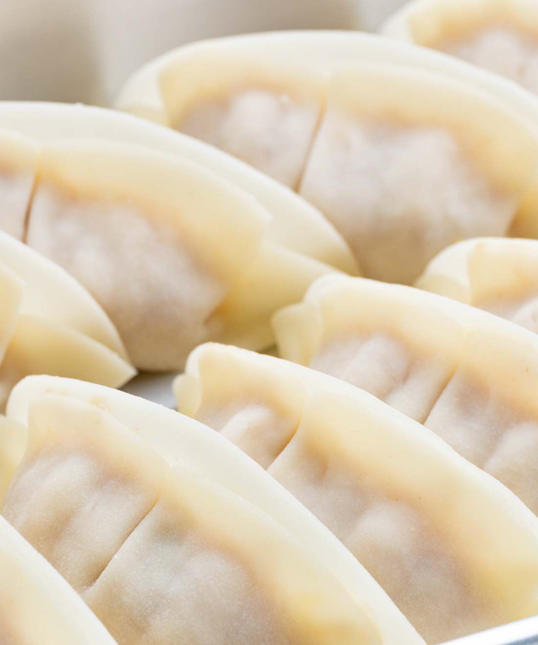 FP産地直送マルシェ|【予約限定・締切7月10日】おいでやす！ 京都餃子ミヤコパンダ３ヵ月コース