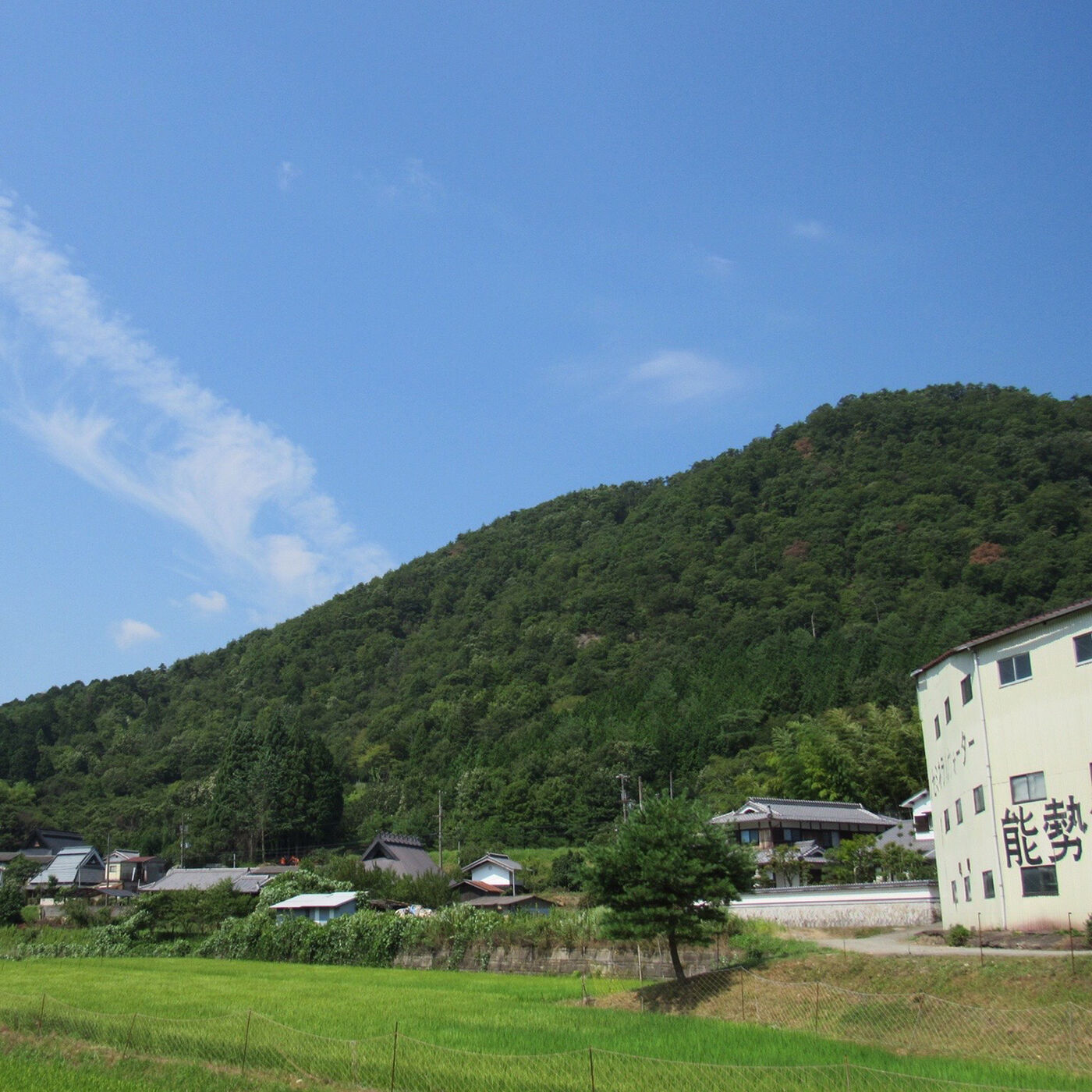 FP産地直送マルシェ|大阪の名水「桜川」のサイダー