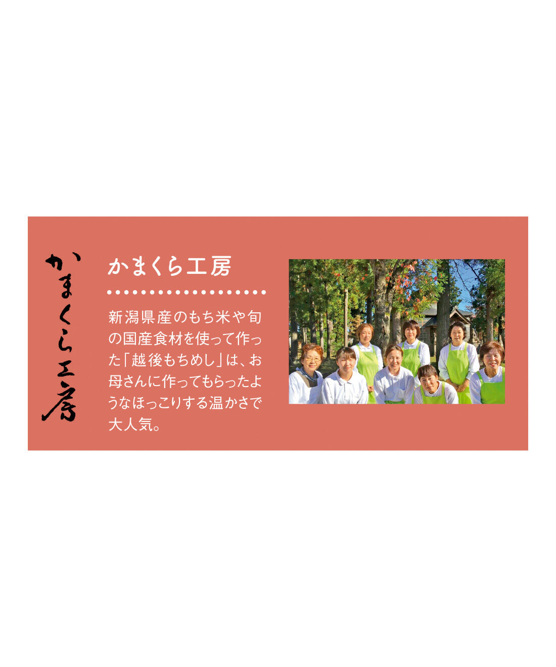 FP産地直送マルシェ|【予約限定・締切8月3日】簡単レンチン！ お手軽スクエアご飯を楽しむ9ヵ月コース