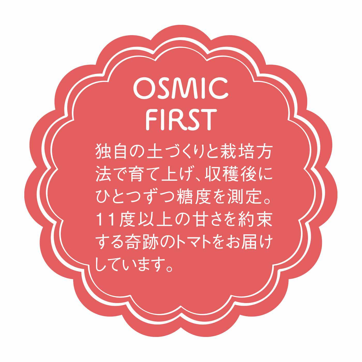 FP産地直送マルシェ|【予約限定・締切4月6日】OSMIC FIRST フルーツミニトマト QUEEN アソートBOX