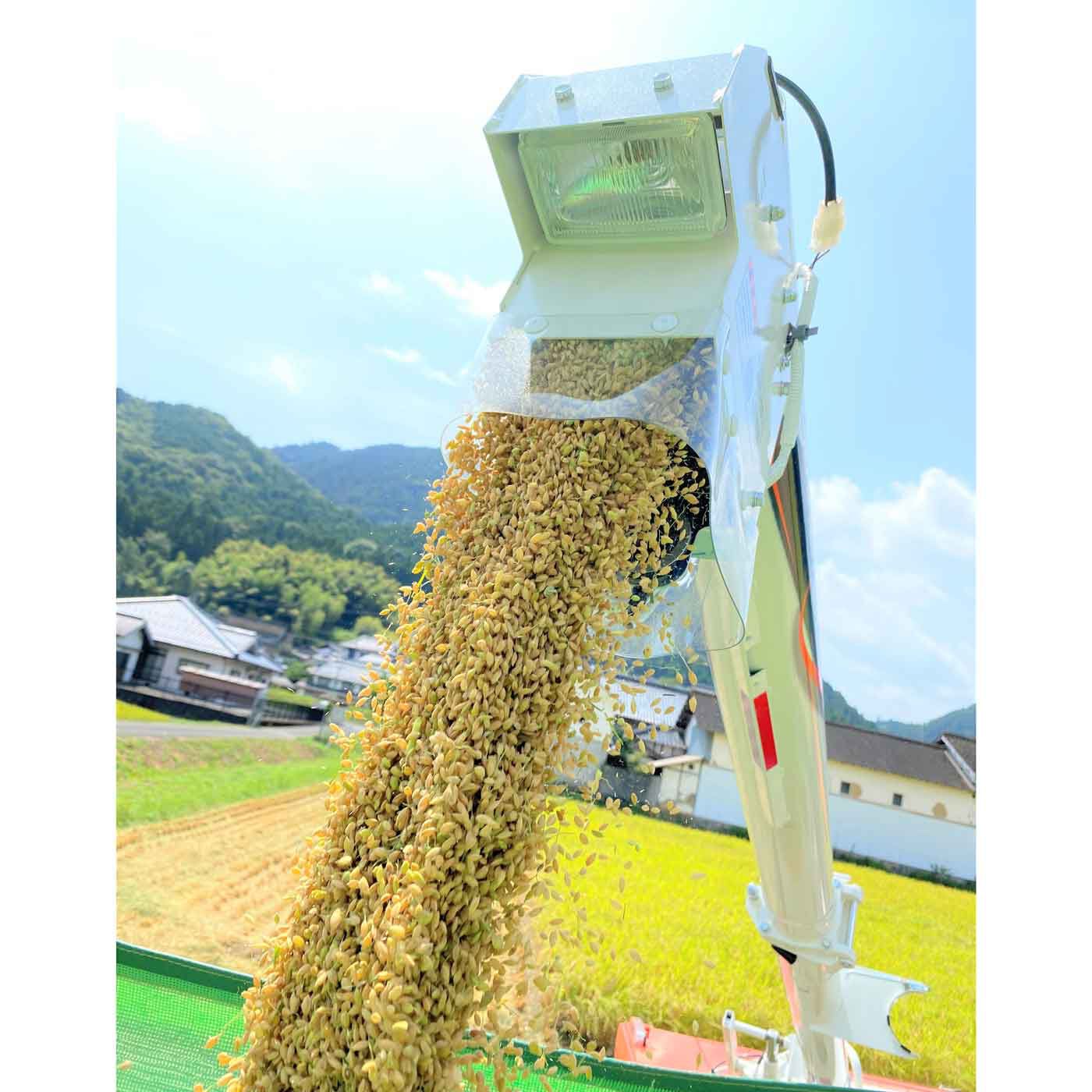FP産地直送マルシェ|新米入荷☆京都丹波コシヒカリ令和5年度産特別栽培米１０ＫＧ