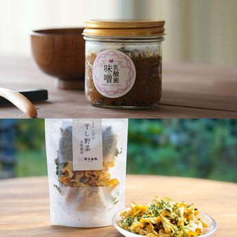 FP産地直送マルシェ | 乳酸菌味噌干し野菜セット