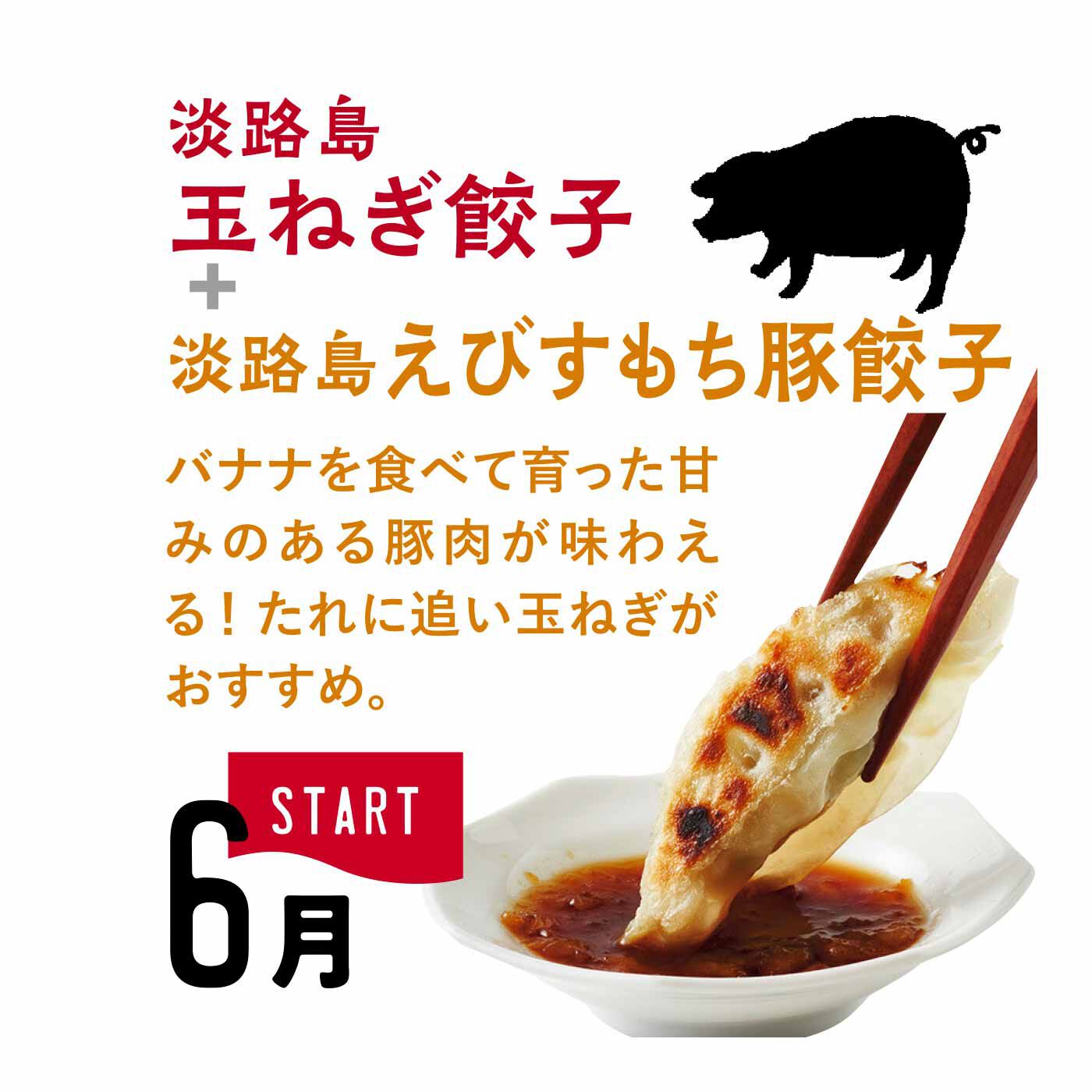 FP産地直送マルシェ|【予約限定・締切6月8日】淡路島の海と大地の恵みをたっぷり包んだやさしいあわじ餃子セット（6ヵ月コース）