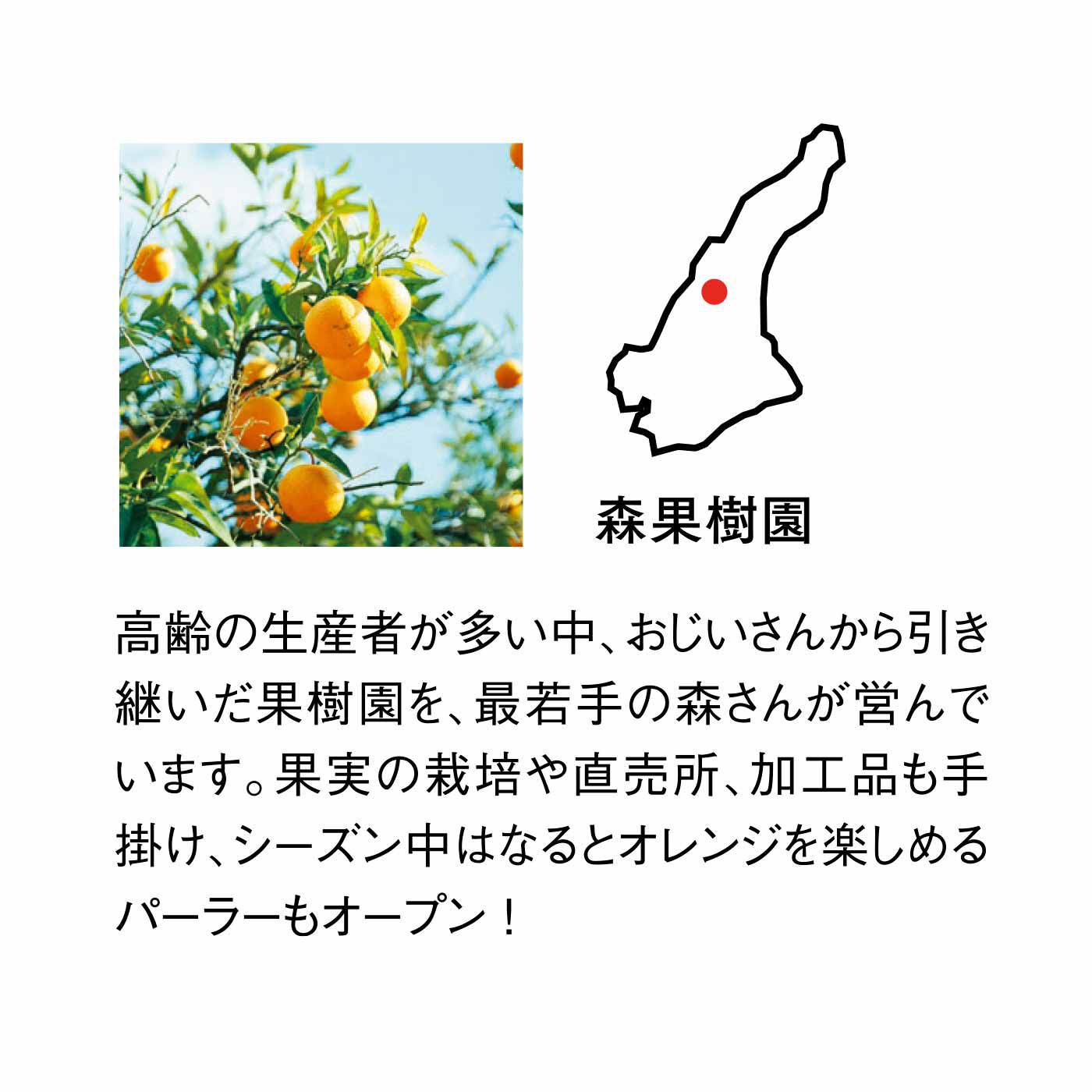 FP産地直送マルシェ|【予約限定・締切6月8日】淡路島でしか味わえない希少な柑橘！ なるとオレンジを皮までまるごと堪能セット