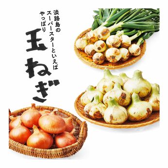 FP産地直送マルシェ | 淡路島フルーツ玉ねぎ（R）を楽しむセット（12ヵ月コース）
