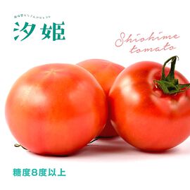 FP産地直送マルシェ | 濃厚キュート愛されトマト「汐姫トマト１キロ」