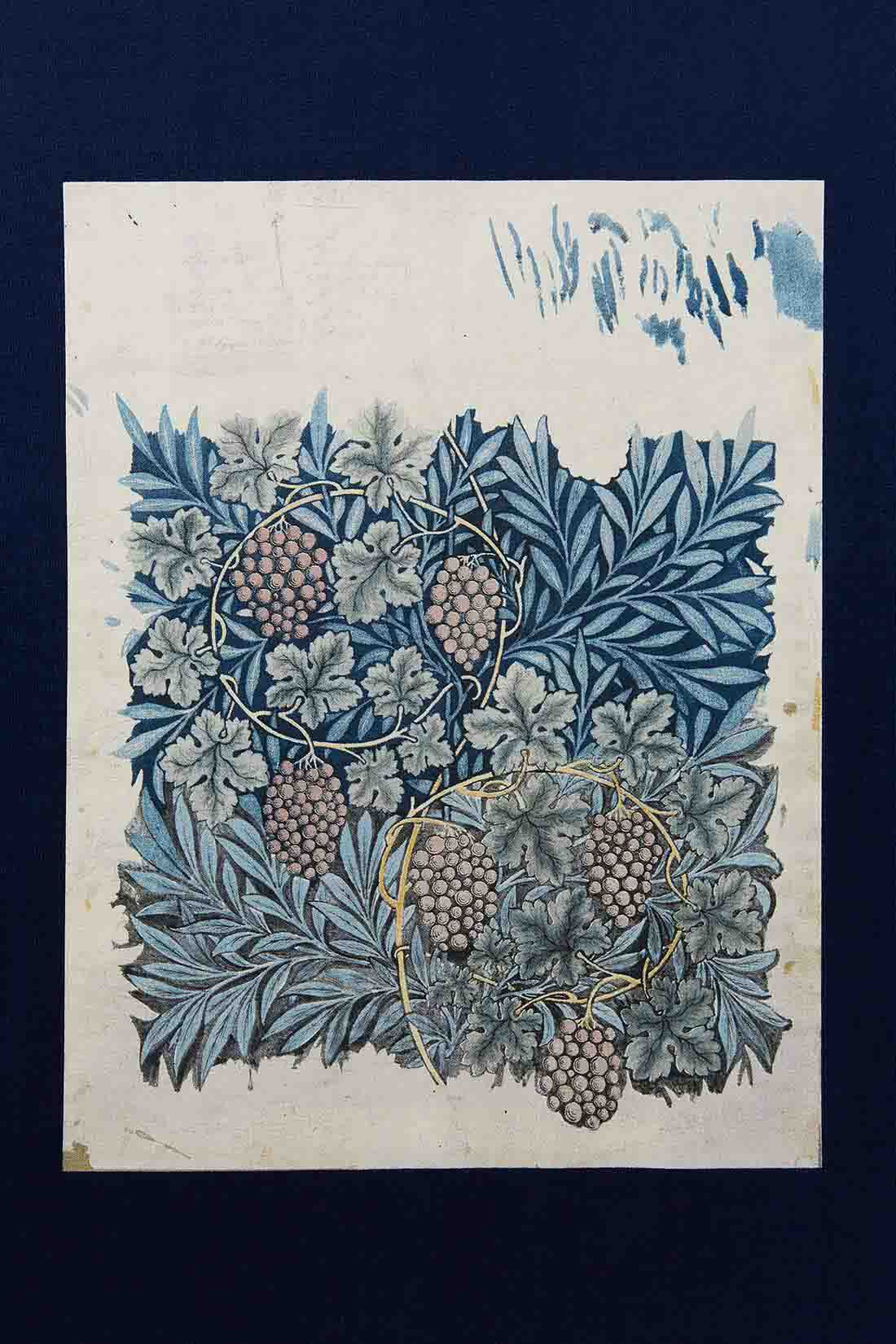 MEDE19F|MEDE19F　〈atelier Morris〉原画モチーフプリントTシャツの会|生命力あふれる繊細で美しい植物画をセレクト。鉛筆画の下描きが残る原画をモチーフにプリントしました。