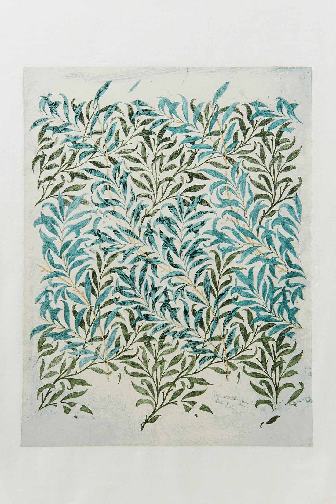 MEDE19F|MEDE19F　〈atelier Morris〉原画モチーフプリントTシャツの会|生命力あふれる繊細で美しい植物画をセレクト。鉛筆画の下描きが残る原画をモチーフにプリントしました。