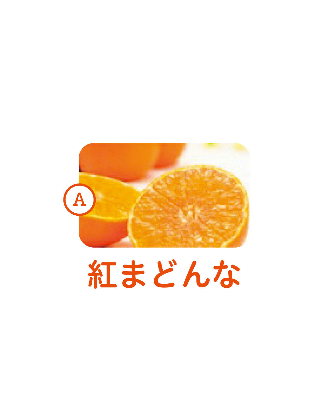 純農|純農 さわやかレモンが仲間入り！ 愛媛産のきらめき 柑橘を味くらべ 飲むゼリーアソートの会（6回予約）|愛媛県で生まれた「紅まどんな」。濃厚な甘みとやさしい酸味にうっとり。