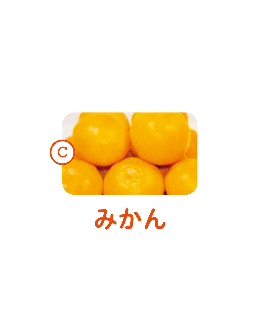純農|純農 さわやかレモンが仲間入り！ 愛媛産のきらめき 柑橘を味くらべ 飲むゼリーアソートの会（6回予約）|温暖な気候で育った愛媛県のみかんのおいしさをそのまま閉じ込めました。