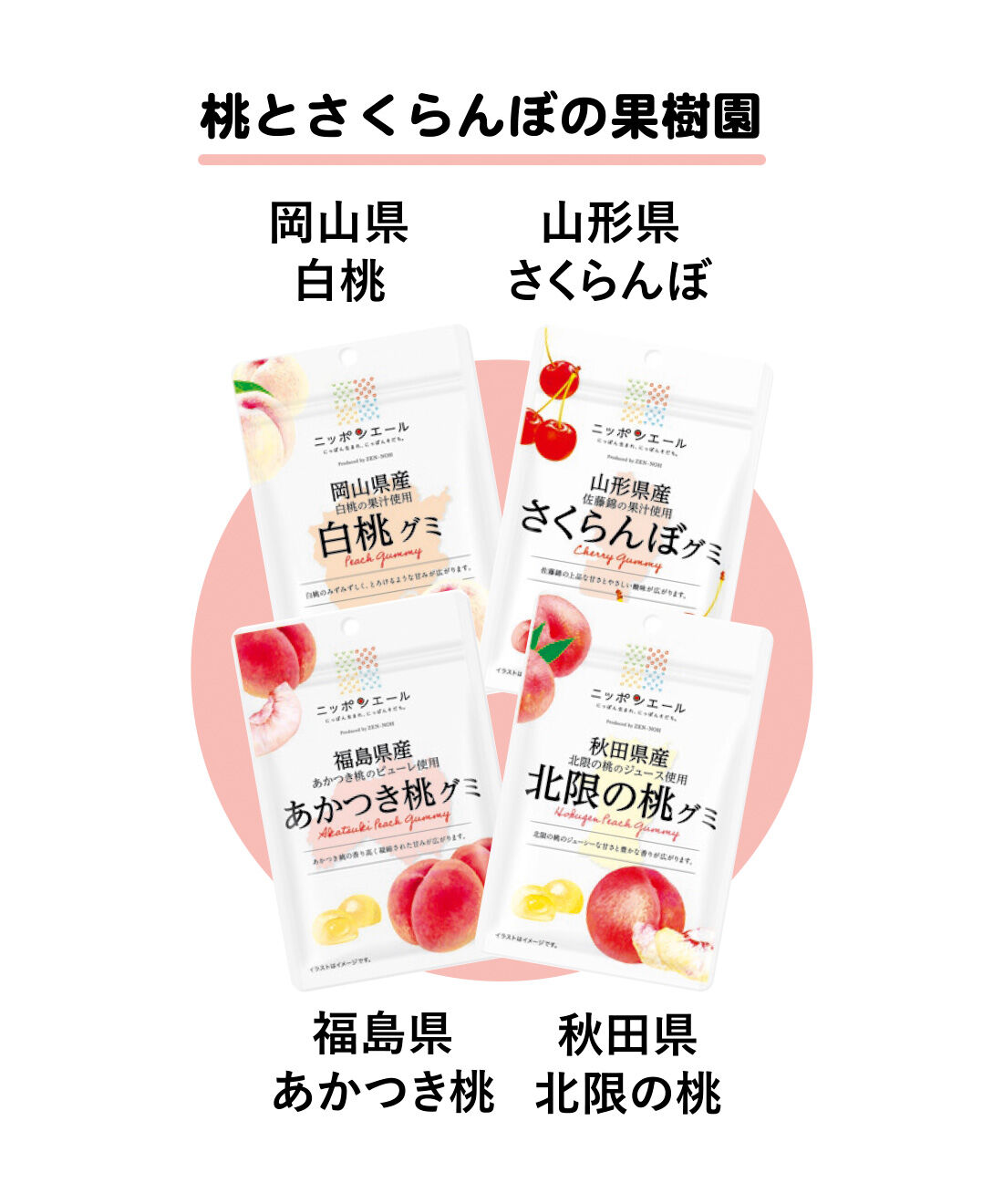 純農|純農 冬の果樹園ピクニック♪ 県産果物を食べくらべグミの会 たっぷりお徳用月16袋コース（4ヵ月予約）