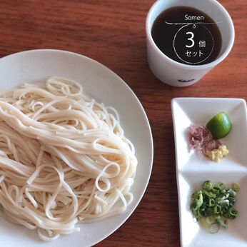 純農 | 徳島 半田手延べそうめん 3個セットの会