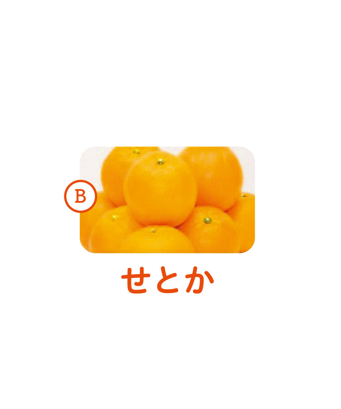 純農|純農 さわやかレモンが仲間入り！ 愛媛産のきらめき 柑橘を味くらべ 飲むゼリーアソートの会（12回予約）|とろけるような食感。魅力的な香りと濃厚な甘みが味わえます。
