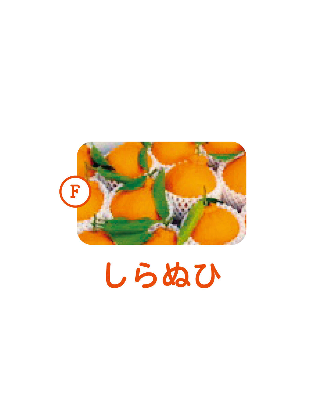 純農|純農 さわやかレモンが仲間入り！ 愛媛産のきらめき 柑橘を味くらべ 飲むゼリーアソートの会（12回予約）|甘さと深い芳香、ほどよい酸味のバランスが◎。ひとくちでしあわせな気持ちに。