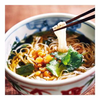 純農 | お湯だけ本格即席麺 つるんとのどごし 国産小麦の稲庭うどんの会（6回予約）