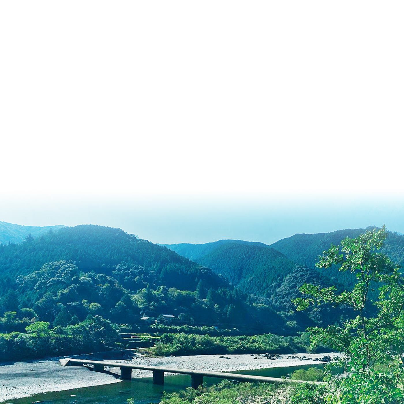 BEAUTY PROJECT|高知県産ＹＵＺＵ　ミルクローションの会|高知県の豊かな自然からの恵み、清らかな四万十川の水で作られた精油を配合しています。
