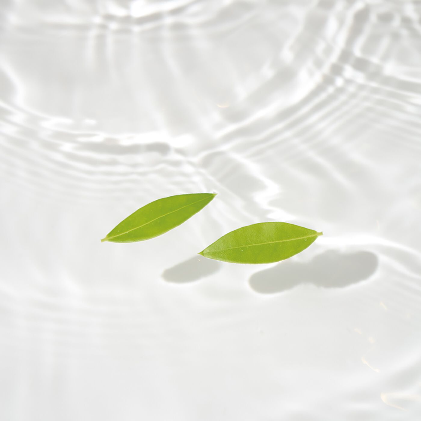 BEAUTY PROJECT|pucarito　クリスタルディフューザーの会|tayutau　水面にただよう葉っぱのように、自由気ままに。