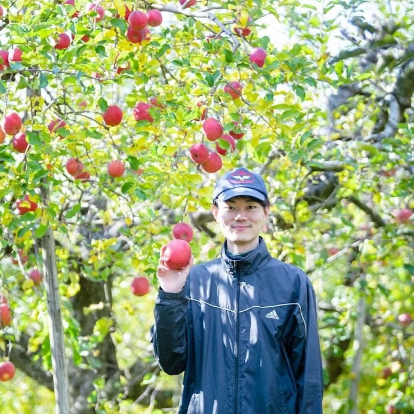 Natucul Chou Club|長野県産【ご家庭用】ふじ5キロ皮ごと食べられるりんご|【キタイチ果樹園からひと言】すべてのお客様に安心して食べていただきたいので、栽培は減農薬で行いワックスは未使用です。   皮ごと食べられるりんごになっています。幅広い世代に喜んでいただけるとうれしいです。