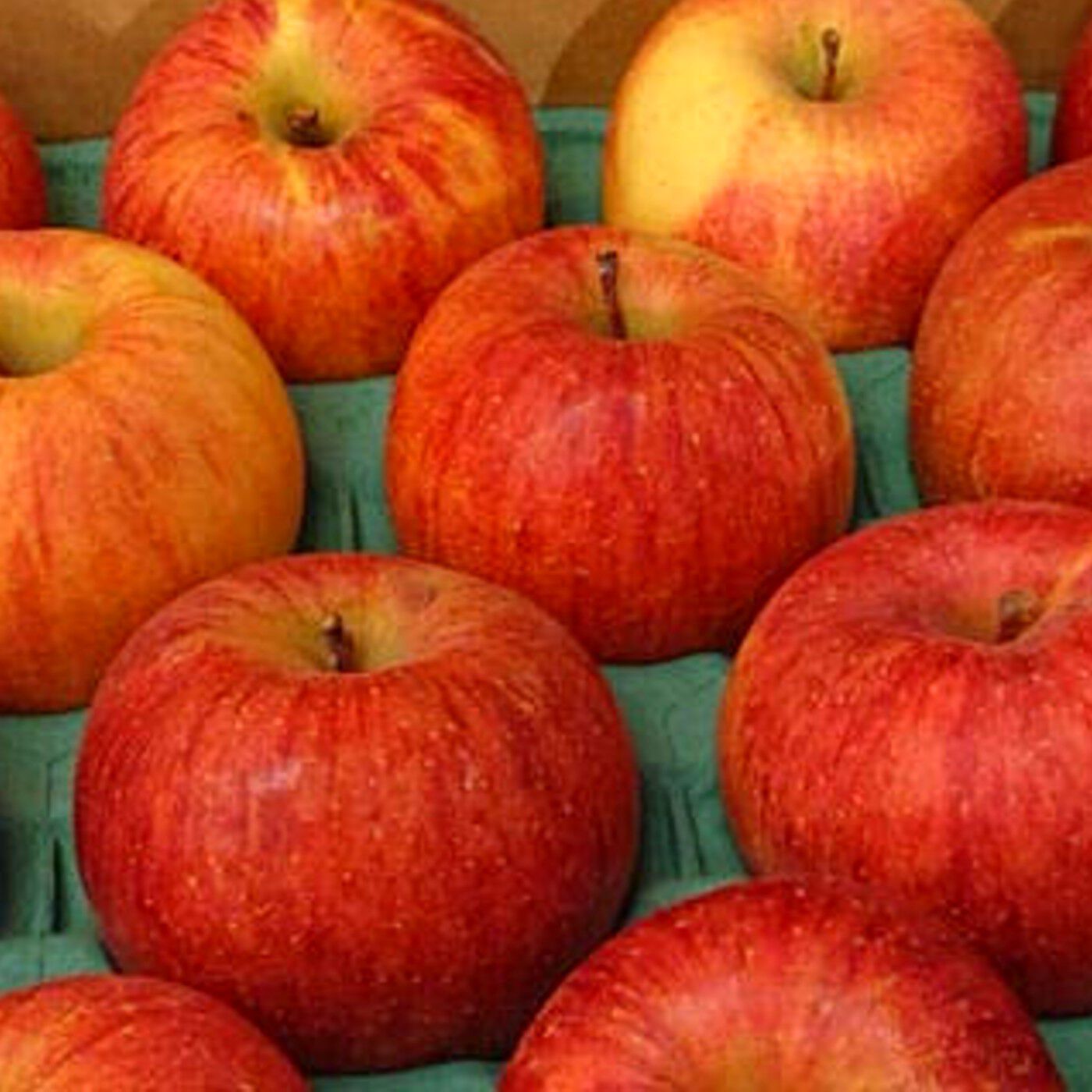 Natucul Chou Club|長野県産【ご家庭用】ふじ5キロ皮ごと食べられるりんご|セット内容/長野県産りんご（ふじ）　約5kg　13～20玉