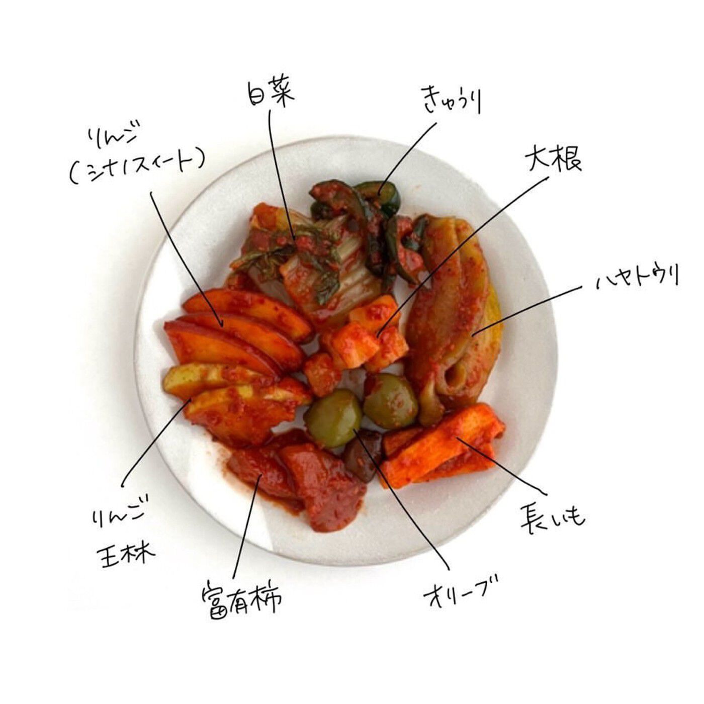 Natucul Chou Club(ナチュカル・シュークラブ)|キムチスターターキット　おけいこキムチ＜KIMCHI＞|こちらが、キムチに漬け込んでみた材料。地域の野菜を漬けてみるのもおもしろい！おいしいタレでいろいろ試してみてください。