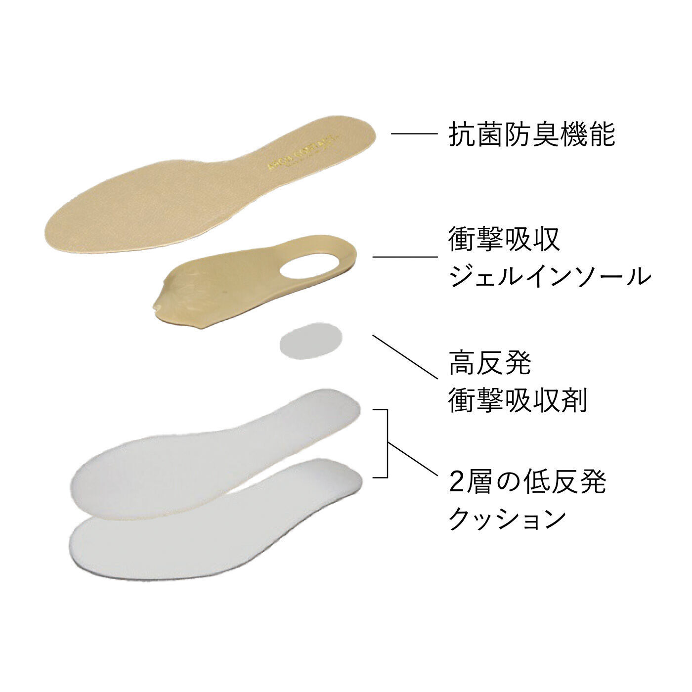 L'AMIPLUS［ラミプリュス］|ラミプリュス かかと高め仕立てでもっちりフィット 走りたくなる吸い付くパンプスの会