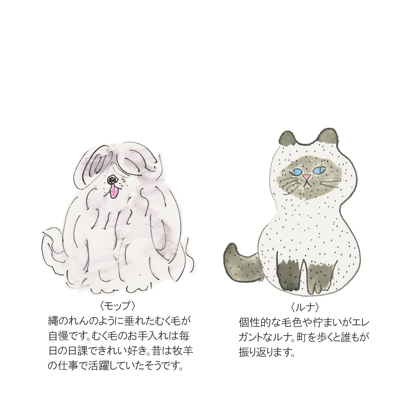 L'AMIPLUS［ラミプリュス］|【7月分以降お届け】幸生窯×ラミプリュス なでなでしたくなる ふわふわモール糸のわんにゃんソックスの会
