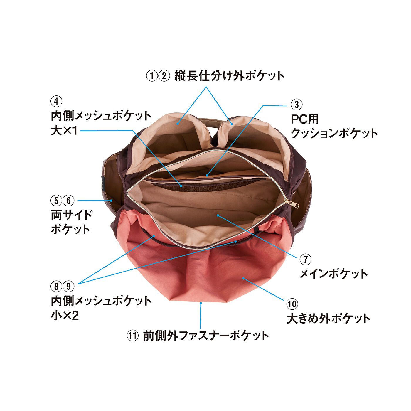 L'AMIPLUS|ラミプリュス　色分け部屋が整とんの秘密　3層仕分けでパソコンも入る　オトナ優秀バッグ