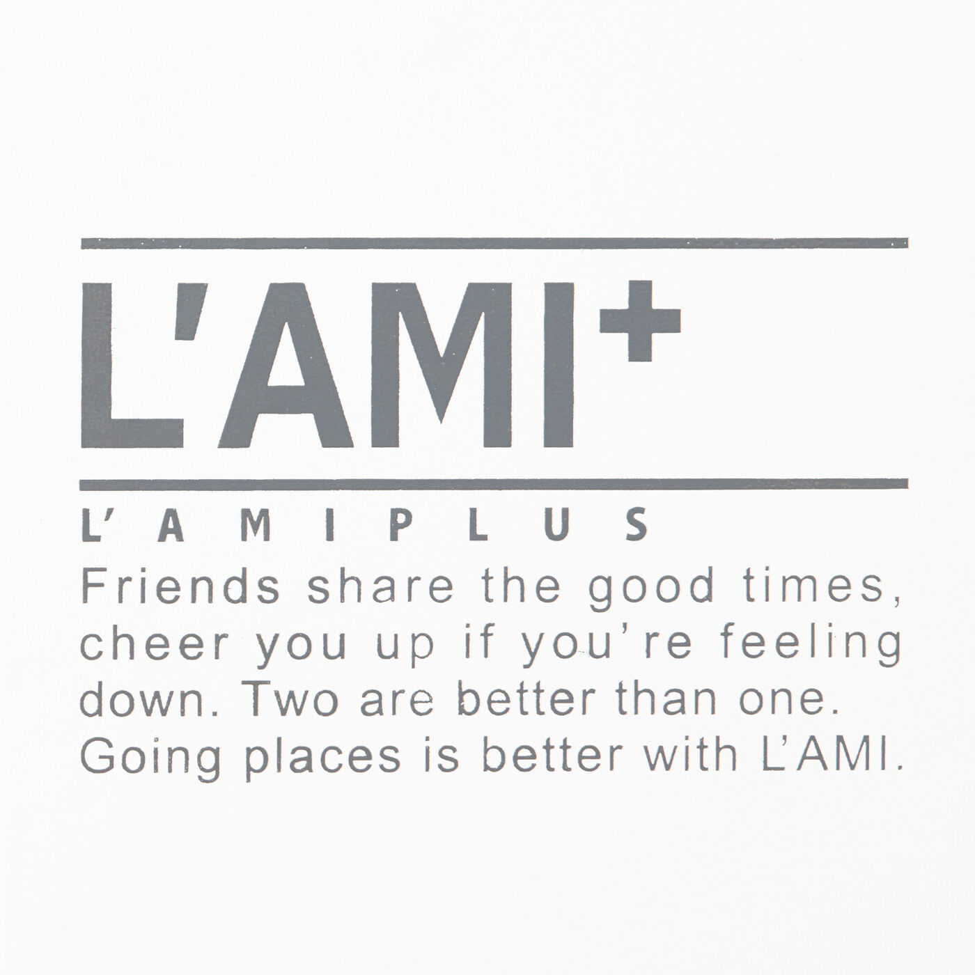L'AMIPLUS|ラミプリュス　玄関扉にマグネットでピタ！ 探し物がなくなるWフックの会|〈ライトグレー〉