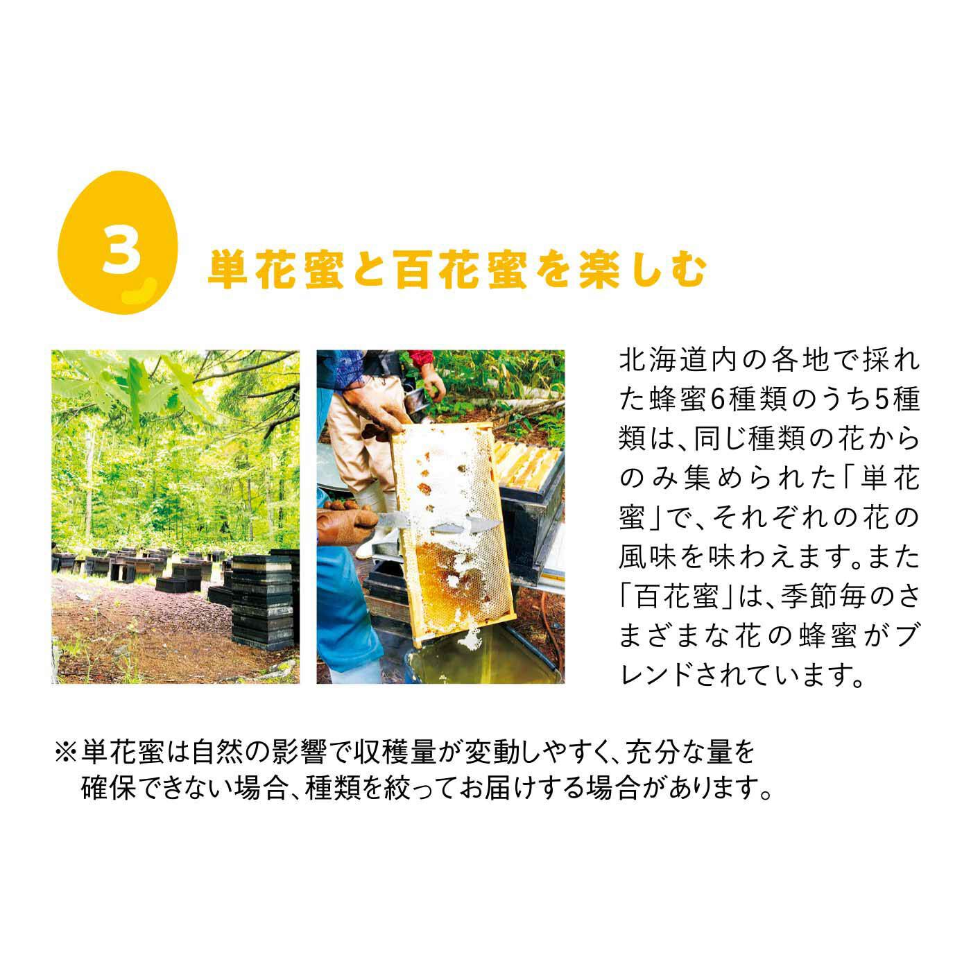 純農の特急便|特急便でお届け☆心もうるおう完熟ハチミツ（スティック）〈百花蜜・菩提樹〉
