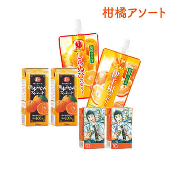 純農の特急便 | 愛媛の柑橘飲むゼリー＆柑橘ジュースアソートセット